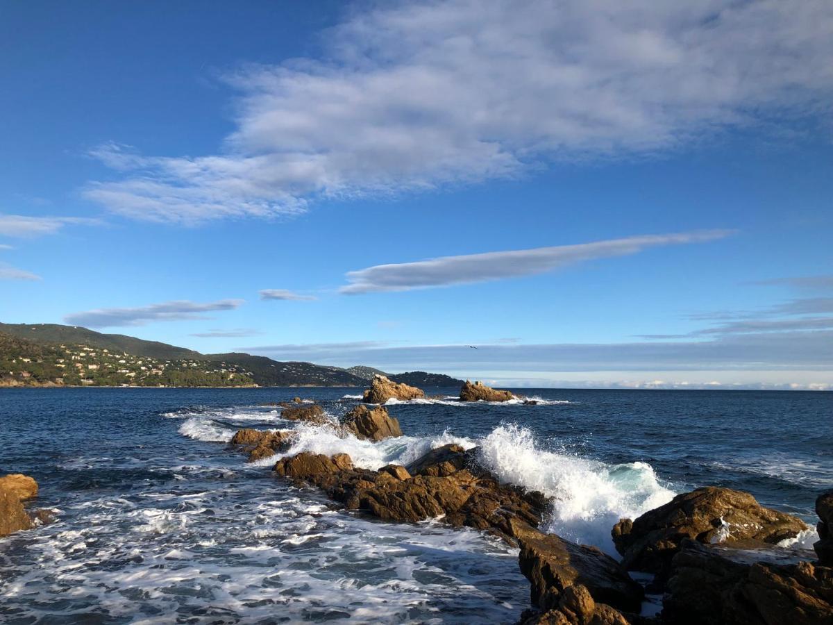 Mer Et Soleil บอร์มส์-เลส์-มิโมซาส์ ภายนอก รูปภาพ