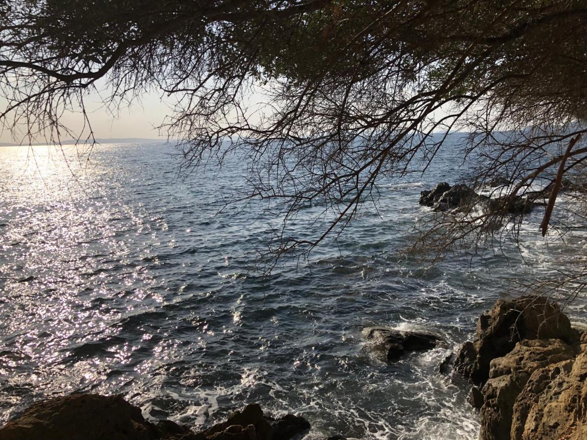 Mer Et Soleil บอร์มส์-เลส์-มิโมซาส์ ภายนอก รูปภาพ
